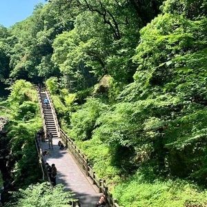 Meet your Posher, Imelda